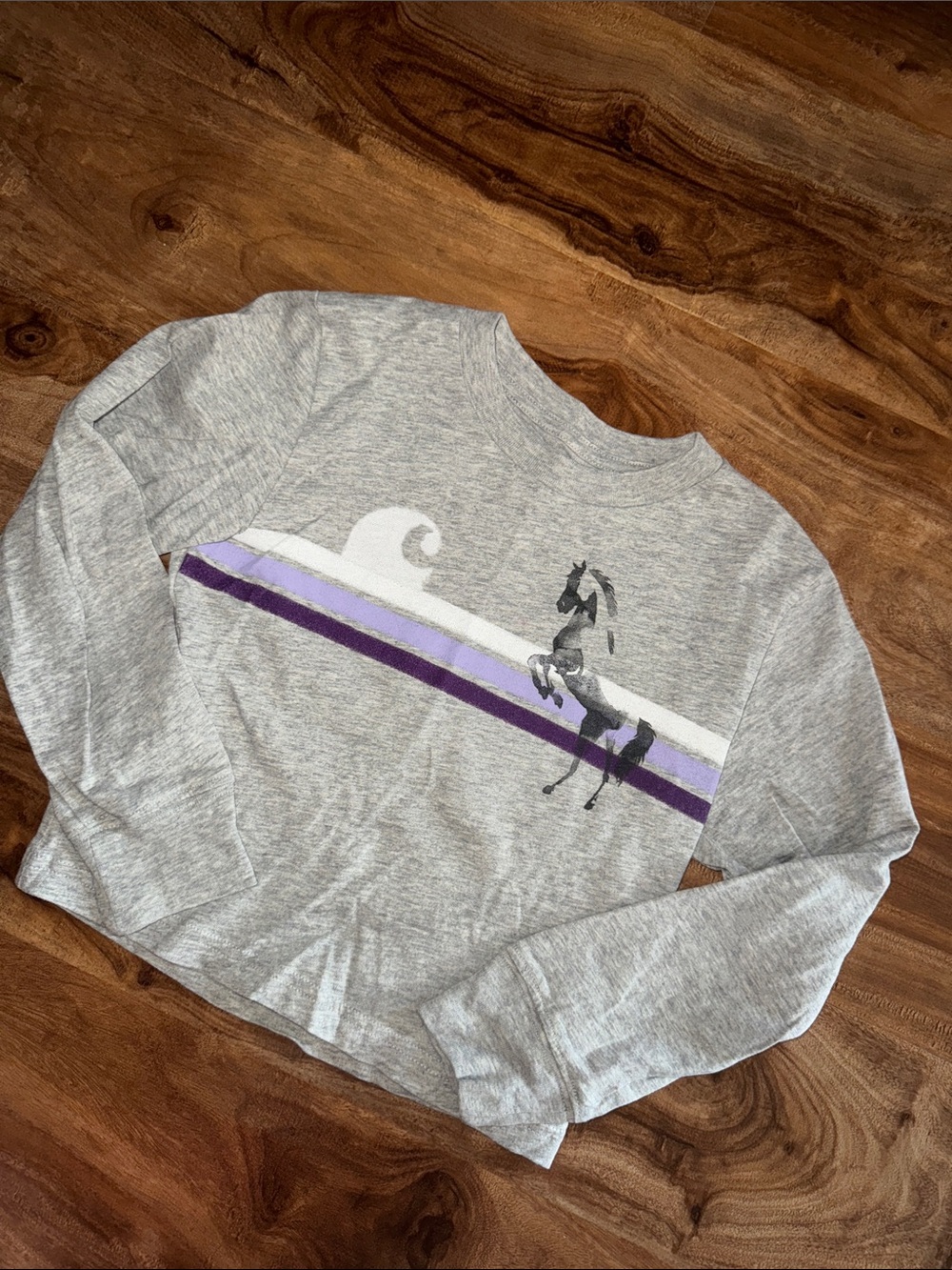 Carhartt girls longsleeve t-shirt  with Purple Stripe and Horse Graphic NWOT’s
